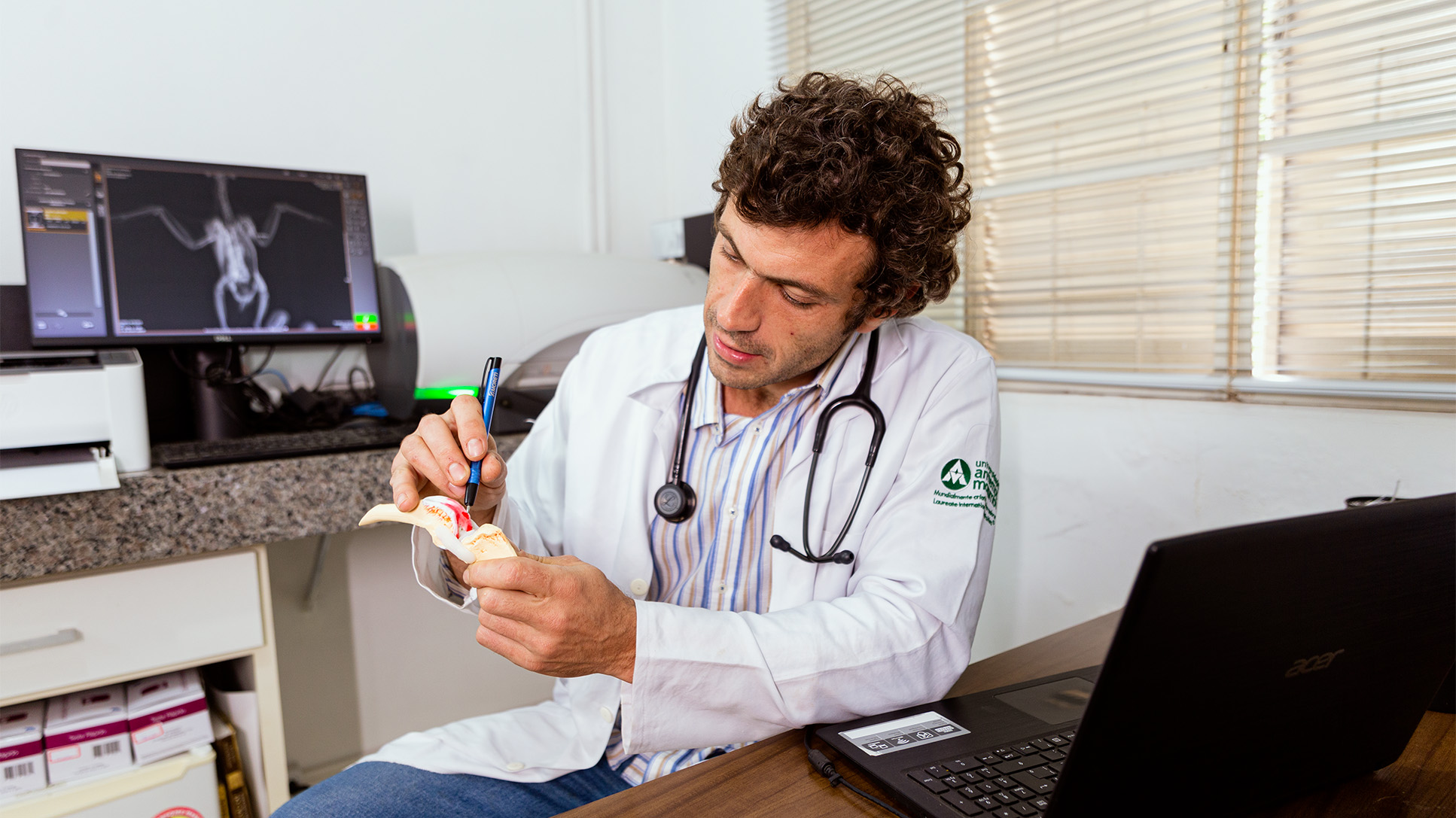 Cachorro correndo pelo campo
