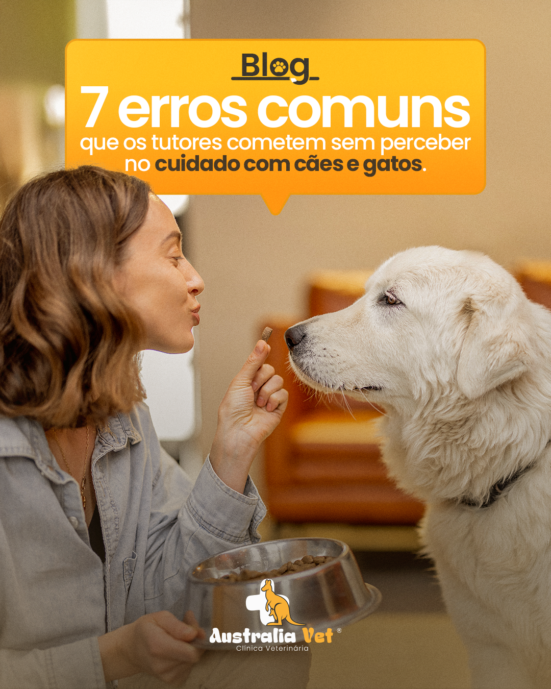 7 erros comuns que os tutores cometem sem perceber no cuidado com cães e gatos
