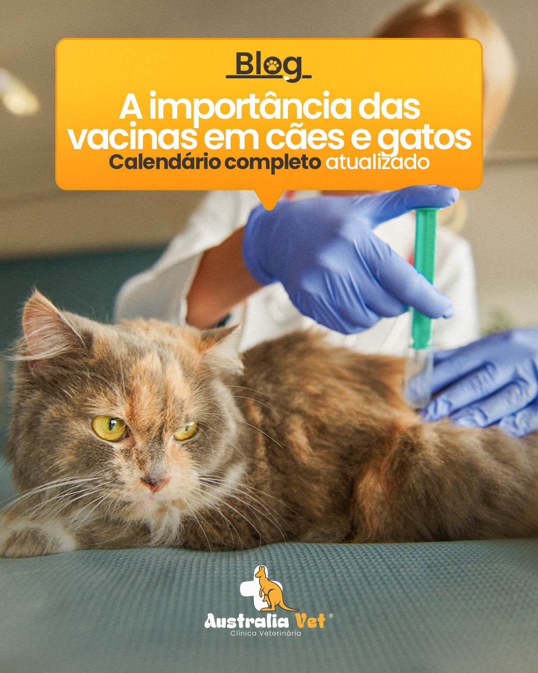 A importância das vacinas para cães e gatos — calendário completo atualizado