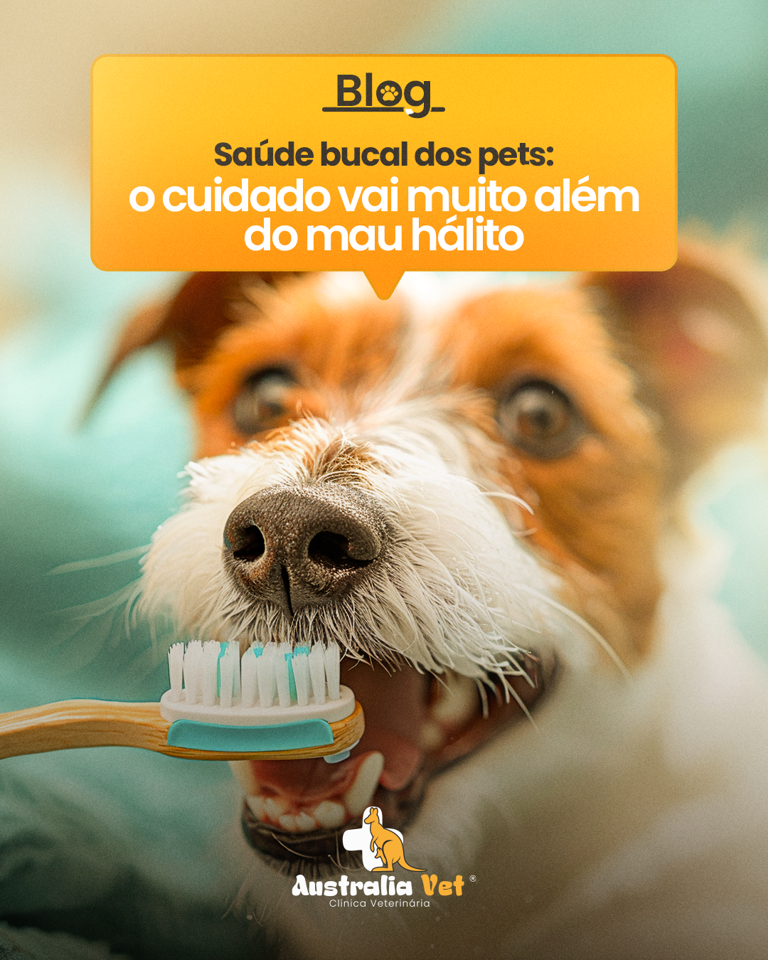 Saúde bucal dos pets: o cuidado vai muito além do mau hálito